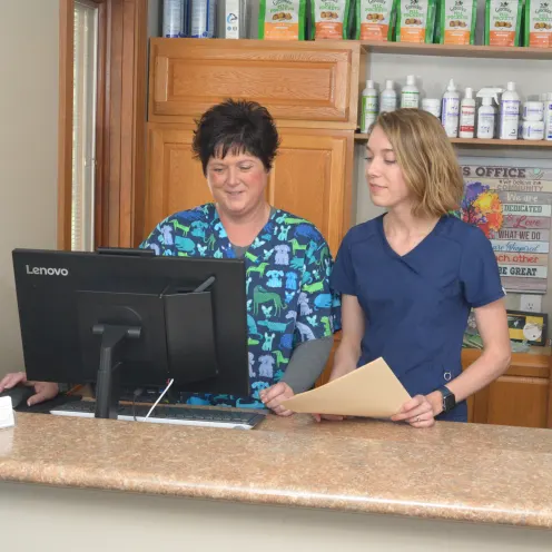 Two veterinary staff at the front desk looking at a computer screen